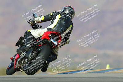 media/Jan-13-2024-SoCal Trackdays (Sat) [[9c032fe5aa]]/Turn 9 Backside (110pm)/